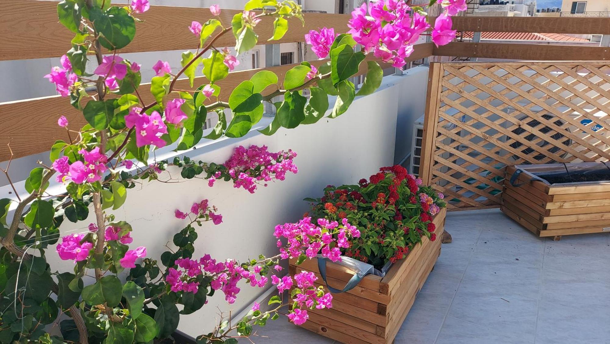 The Little Big Apartment In The Heart Of Heraklion מראה חיצוני תמונה