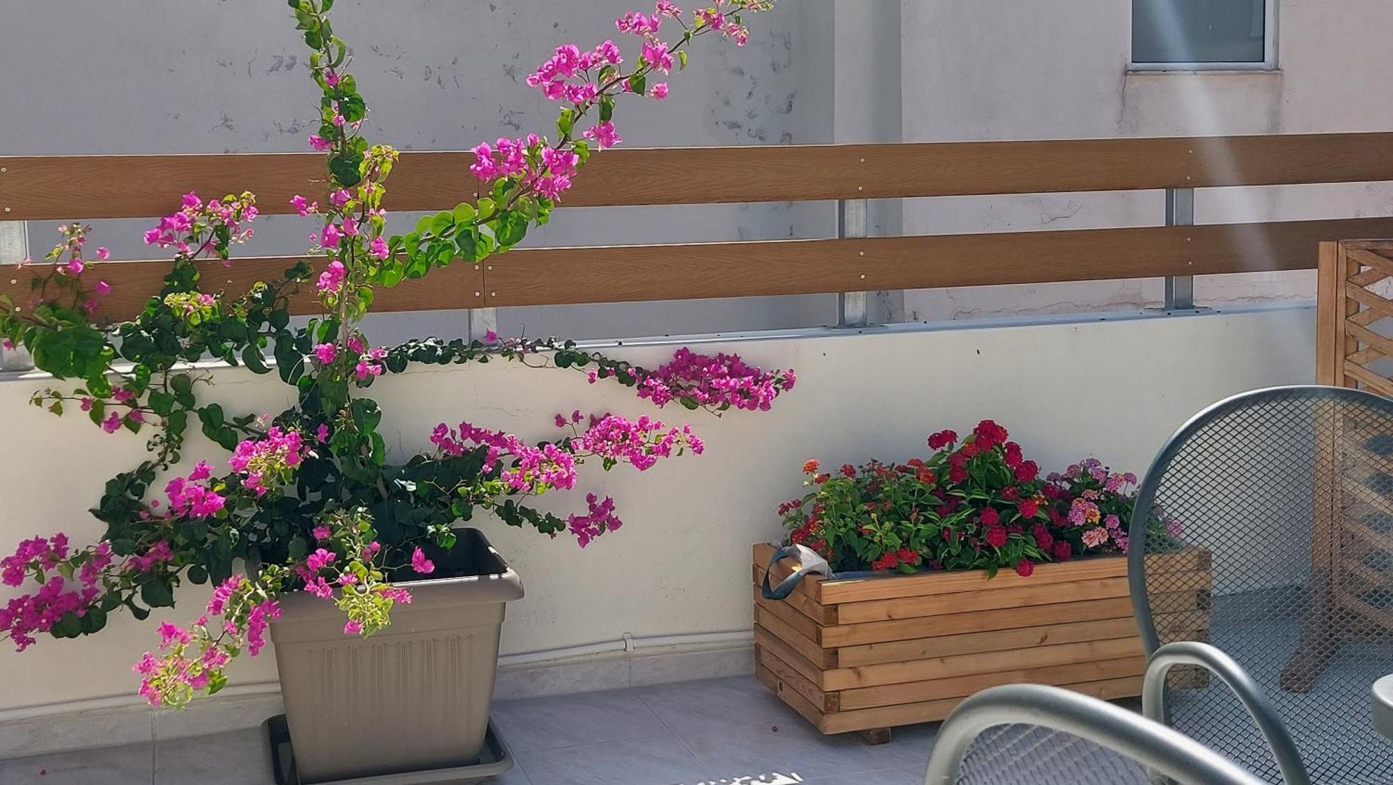 The Little Big Apartment In The Heart Of Heraklion מראה חיצוני תמונה